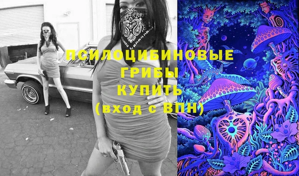 mix Гусиноозёрск