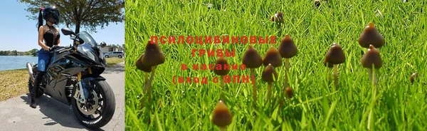 a pvp Горняк