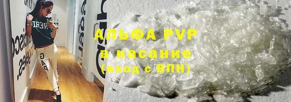 СК Гусь-Хрустальный