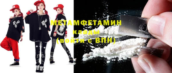шишки Горнозаводск