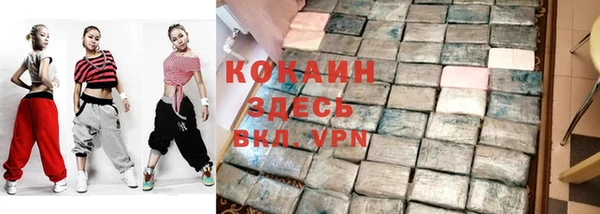 a pvp Горняк